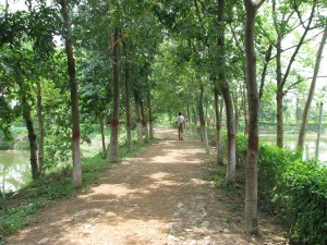 Rasulpur Park