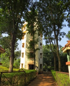 Watchtower at Joypur Forest