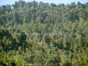 Forests surrounding Sribadam