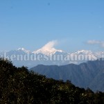 Yakten in East Sikkim
