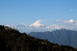 Yakten in East Sikkim