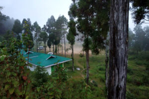 Tarey Bhir Resort